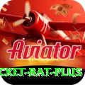cricket bat Max PK v2.1.6