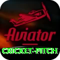 cricket pitch Jackpot Mega v3.9.6