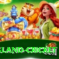 england cricket Deluxe APK v4.1.6
