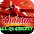 fastest ball in cricket Extreme v3.3.8