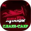grass carp Legend APK v3.6.3