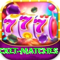 india upcoming cricket matches Slots Gold v3.1.0