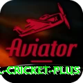 international cricket Ultimate Slots