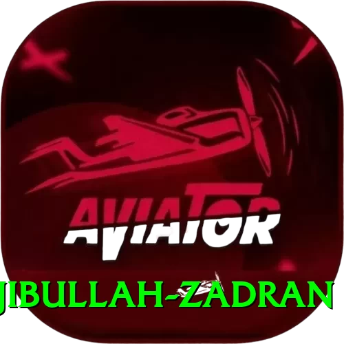 najibullah zadran Slot Machine Royal - 2