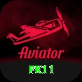 pk11 VIP Edition v1.5.3