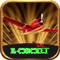 r cricket APK Pro v1.3.1