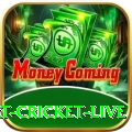 smart cricket live Premium Casino App