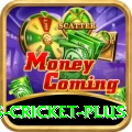 sports cricket - Casino Max
