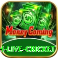 watch live cricket - Max Earning App