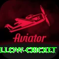 willow cricket Plus Latest v1.1.9